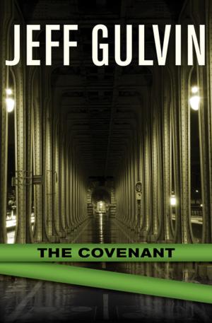 bigCover of the book The Covenant by 