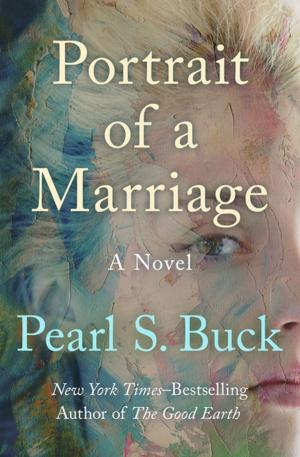 Cover of the book Portrait of a Marriage by Mary Wesley