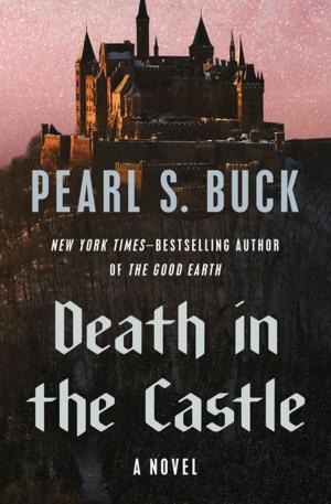 Cover of the book Death in the Castle by Elizabeth McDavid Jones