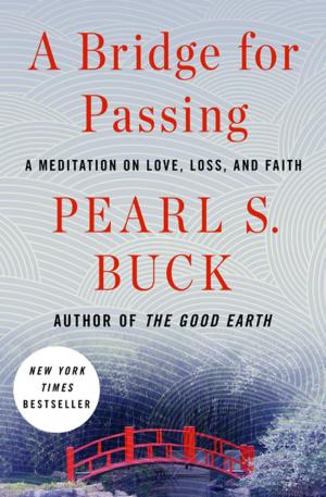 Cover of the book A Bridge for Passing by Jay Quinn