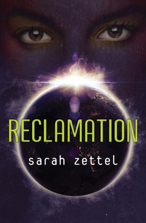 Cover of the book Reclamation by Alexander Key