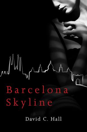 Book cover of Barcelona Skyline