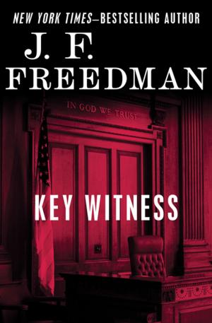 bigCover of the book Key Witness by 