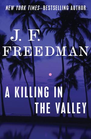 Cover of the book A Killing in the Valley by Wendy Meadows