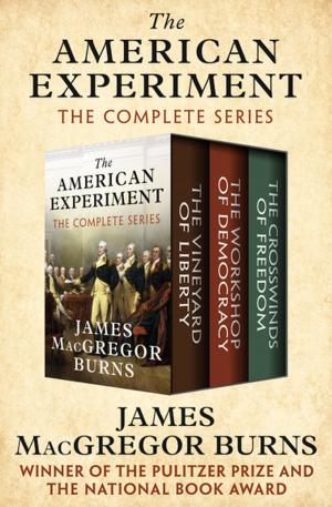 Cover of the book The American Experiment by Ellery Queen Jr.