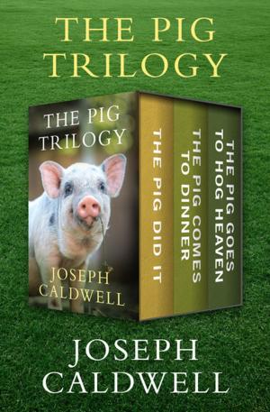 Cover of the book The Pig Trilogy by David Plante