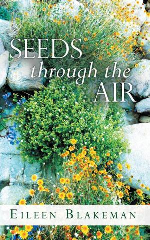 Cover of the book Seeds Through the Air by Gail Lockhart