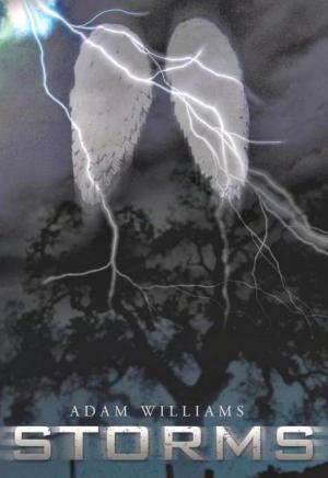 Cover of the book Storms by Cassandra Duffy