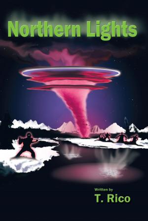 Cover of the book Northern Lights by Kyle Hoy
