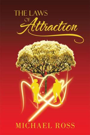 Cover of the book The Laws of Attraction by Lawrence G. Vaughn Sr.