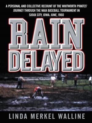Cover of the book Rain Delayed by Christine Kriha Kastner