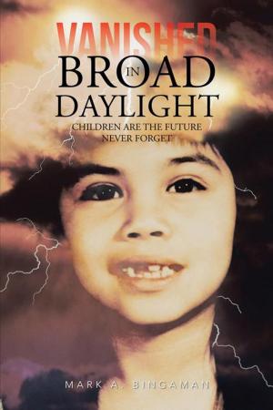 Cover of the book Vanished in Broad Daylight by Norma J. Edwards-Merriweather