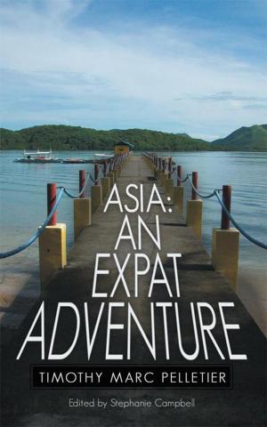 Cover of the book Asia: an Expat Adventure by Dr. Peter J. Morry