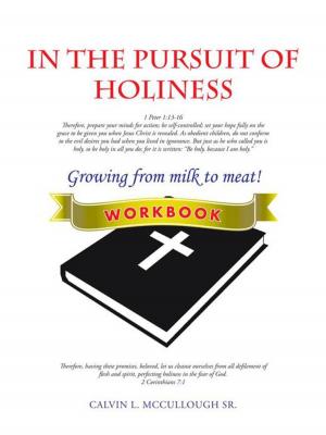 Cover of the book In the Pursuit of Holiness by Ridgley B. Merritt Jr.