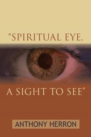 Cover of the book "Spiritual Eye, a Sight to See" by Florence Schatz