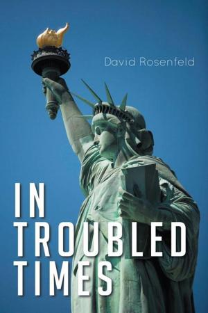 Book cover of In Troubled Times