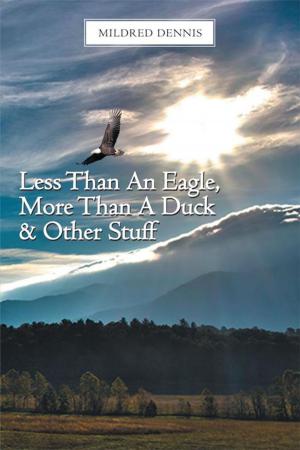 Cover of the book Less Than an Eagle, More Than a Duck & Other Stuff by Holly Lee Vecchio
