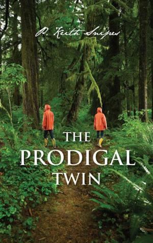 Cover of the book The Prodigal Twin by James E. Woolam