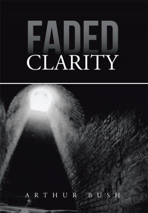 Cover of the book Faded Clarity by Matt DeGennaro