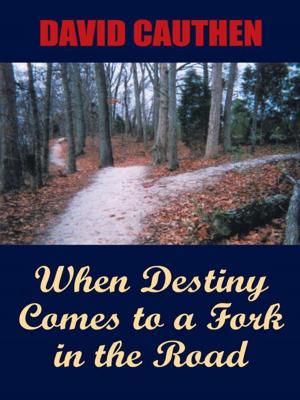 Book cover of When Destiny Comes to a Fork in the Road