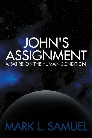 Cover of the book John's Assignment by Eugene A. Razzetti