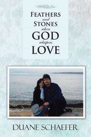 Cover of the book Feathers and Stones When God Whispers Love by Butch Raul