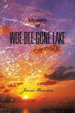 Book cover of Mystery of Woe-Bee-Gone Lake