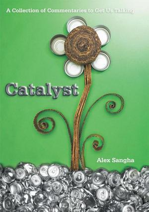 Cover of the book Catalyst by P.R. Schoenfeld