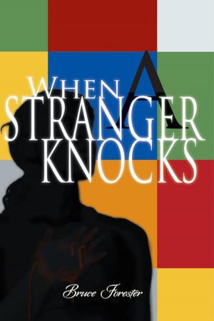 bigCover of the book When a Stranger Knocks by 
