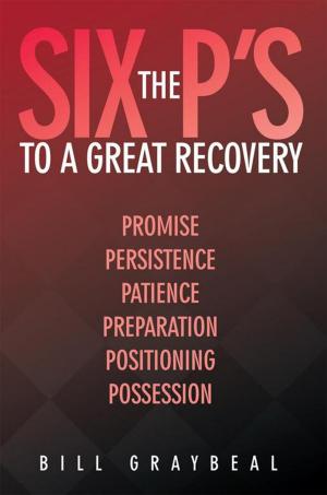 bigCover of the book The Six P's to a Great Recovery by 