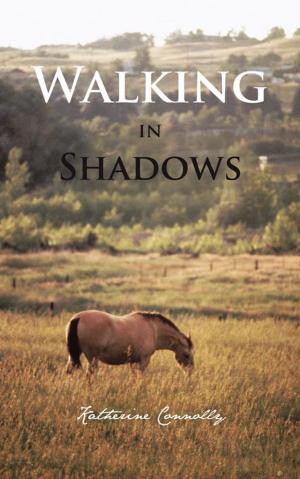 Cover of the book Walking in Shadows by Nicolette Florides
