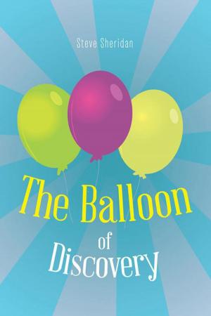 Cover of the book The Balloon of Discovery by Pradeep Berry