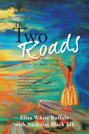 Cover of the book The Two Roads by Barrett K. Hays