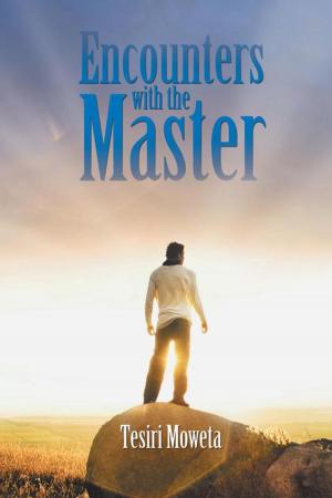 Cover of the book Encounters with the Master by Richard Segal