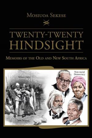 Cover of the book Twenty-Twenty Hindsight by Effie Darlene Barba