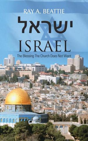 Cover of the book ????? Israel by Jana Dohnalova