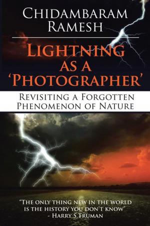 Cover of the book Lightning as a 'Photographer' by Narayanan Mohan