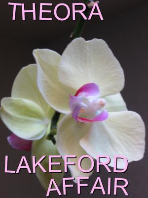 Cover of the book Lakeford Affair by Cambridge Jenkins III