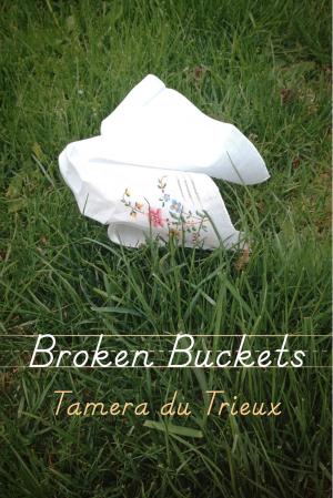 Cover of the book Broken Buckets by Jerry Oltion