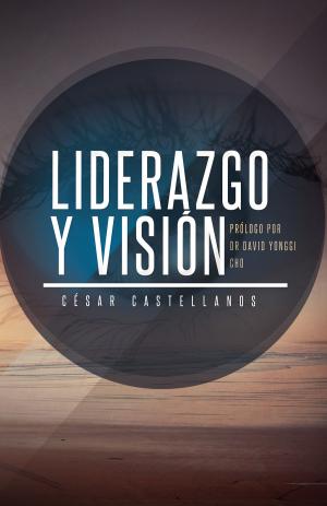 Book cover of Liderazgo y Visión