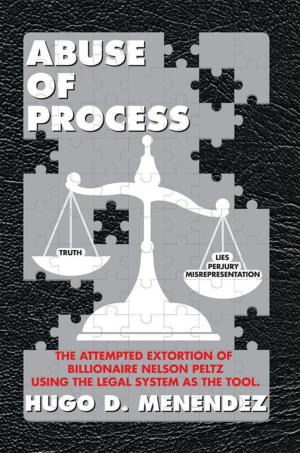 Cover of the book Abuse of Process by Dr. James J. Krieger D.D.