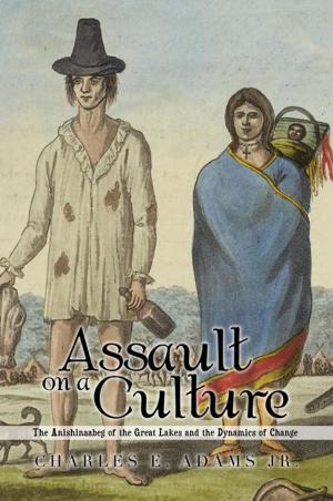 Cover of the book Assault on a Culture by Ida Tomshinsky