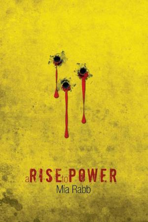 Book cover of A Rise to Power