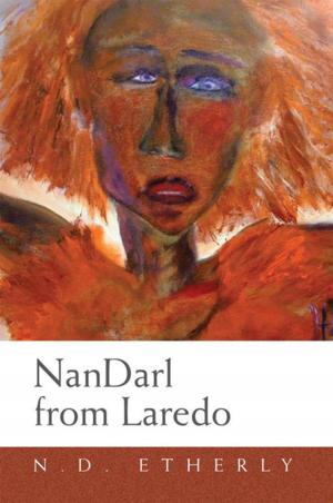 Cover of the book Nandarl from Laredo by Busi Moyo