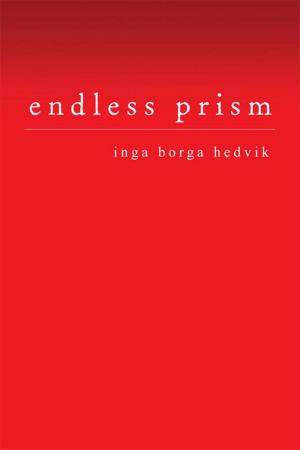 Cover of the book Endless Prism by Vera Morrill