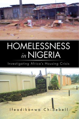 Cover of the book Homelessness in Nigeria by Becky Handsaker