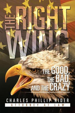 Cover of the book The Right Wing: the Good, the Bad, and the Crazy by Andrea Howarth-Salazar