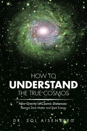 Cover of the book How to Understand the True Cosmos by Paul A. LaViolette, Ph.D.