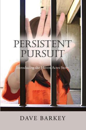 Book cover of Persistent Pursuit