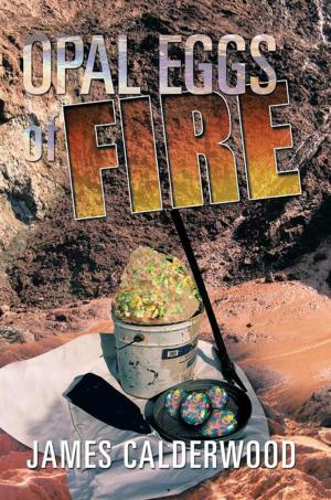Cover of the book Opal Eggs of Fire by Faye Roots